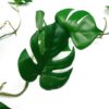 100cm Artificial Hanging Trailing Monstera Plant