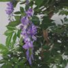 110cm-Artificial-Purple-Blossom-Tree-with-Silver-Metal-Planter-2 110cm Artificial Purple Blossom Tree with Silver Metal Planter