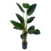 150cm UV Traveller Banana Palm Tree | Green | 5ft