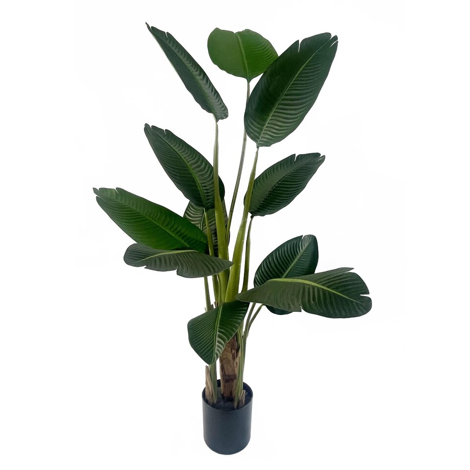 150cm UV Traveller Banana Palm Tree | Green | 5ft
