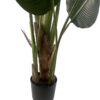 150cm UV Traveller Banana Palm Tree | Green | 5ft