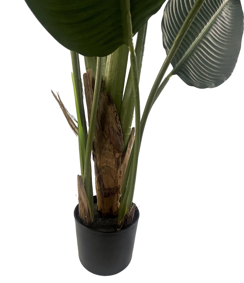 150cm UV Traveller Banana Palm Tree | Green | 5ft