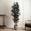 157Cm Black Bamboo Tree | Black | One Size