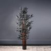 157Cm Black Bamboo Tree | Black | One Size