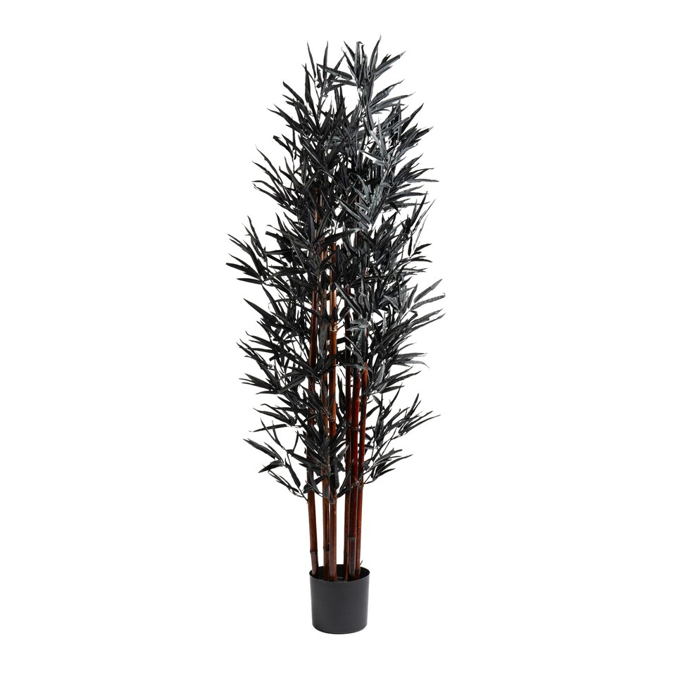 157Cm Black Bamboo Tree | Black | One Size