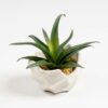 Buy Artificial Spiky Succulent In Wavy Cement Pot 16cm Green