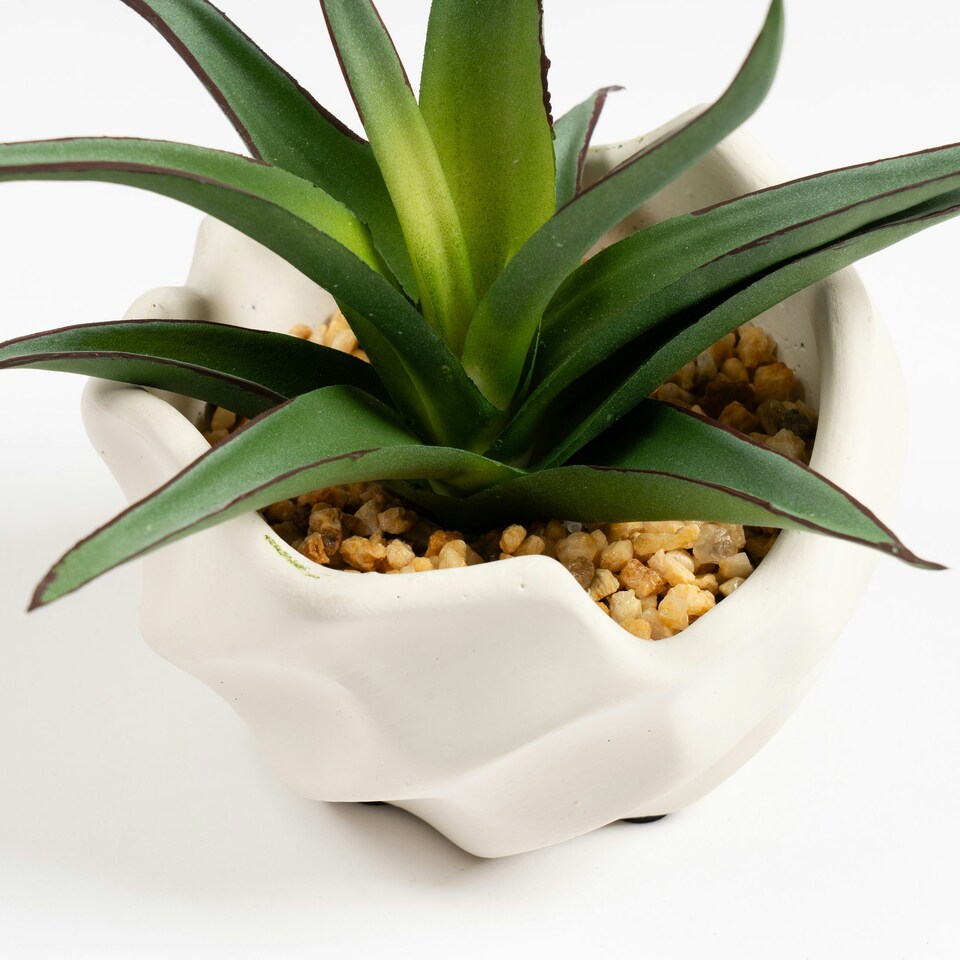 16Cm Spiky Succulent In Wavy Cement Pot | Green | One Size