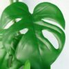 180cm-Artificial-Trailing-Hanging-Monstera-Plant-Realistic-3 180cm Artificial Trailing Hanging Monstera Plant Realistic