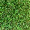 Buy Artificial Grass - 5m x 7m - Natural 25mm Green