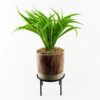 Buy 35cm Artificial Grass with Ceramic Planter & Metal Stand
