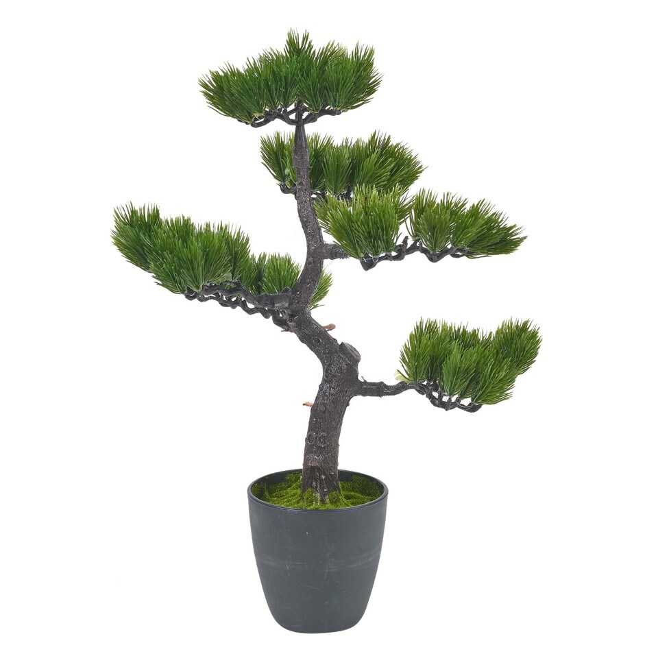 49cm Green Artificial Bonsai Tree Plants in Black Pot Realistic Plant | Multi | Pine | 1