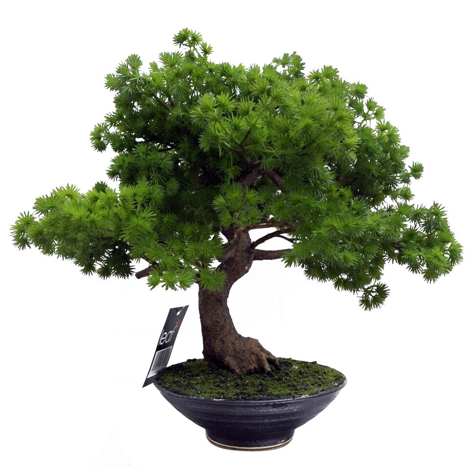50cm Artificial Luxury Pine Bonsai Tree