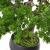 50cm Artificial Luxury Pine Bonsai Tree | Green | One Size
