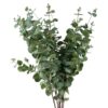6-x-100cm-Artificial-Eucalyptus-Foliage Buy 6 x 100cm Artificial Eucalyptus Foliage