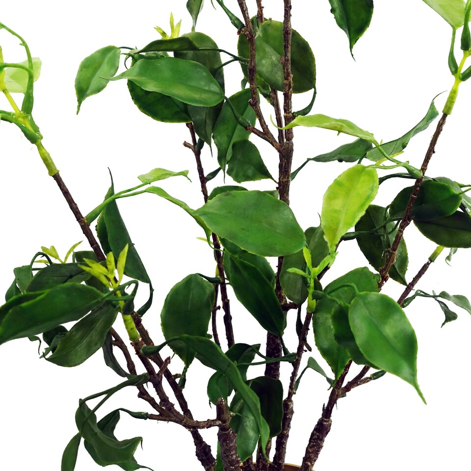 60cm Artificial Banyan Bonsai Ficus Tree | Green | One Size