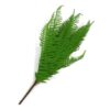 60cm-Artificial-Bushy-Dixie-Wood-Fern-Dark-Green-Plant-1 60cm Artificial Bushy Dixie Wood Fern Dark Green Plant