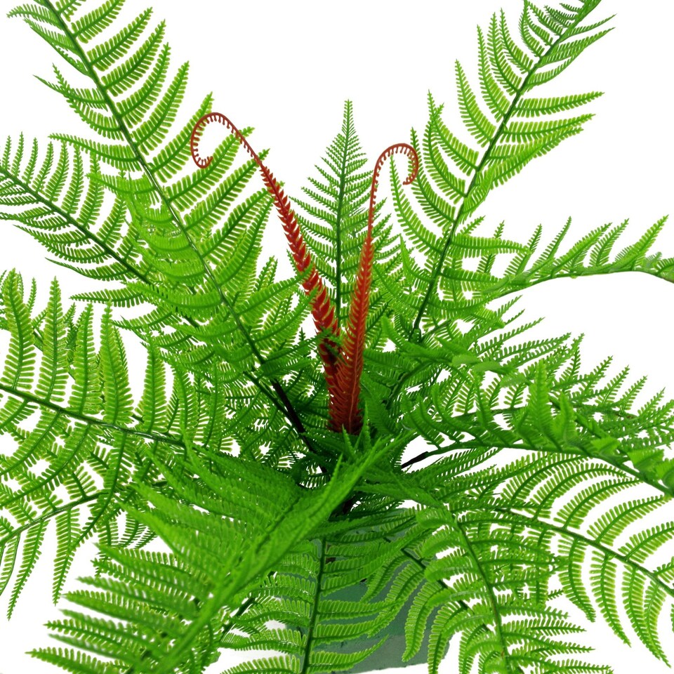 60cm-Artificial-Bushy-Dixie-Wood-Fern-Dark-Green-Plant-2 60cm Artificial Bushy Dixie Wood Fern Dark Green Plant