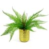 60cm-Artificial-Bushy-Dixie-Wood-Fern-Dark-Green-Plant-4 60cm Artificial Bushy Dixie Wood Fern Dark Green Plant