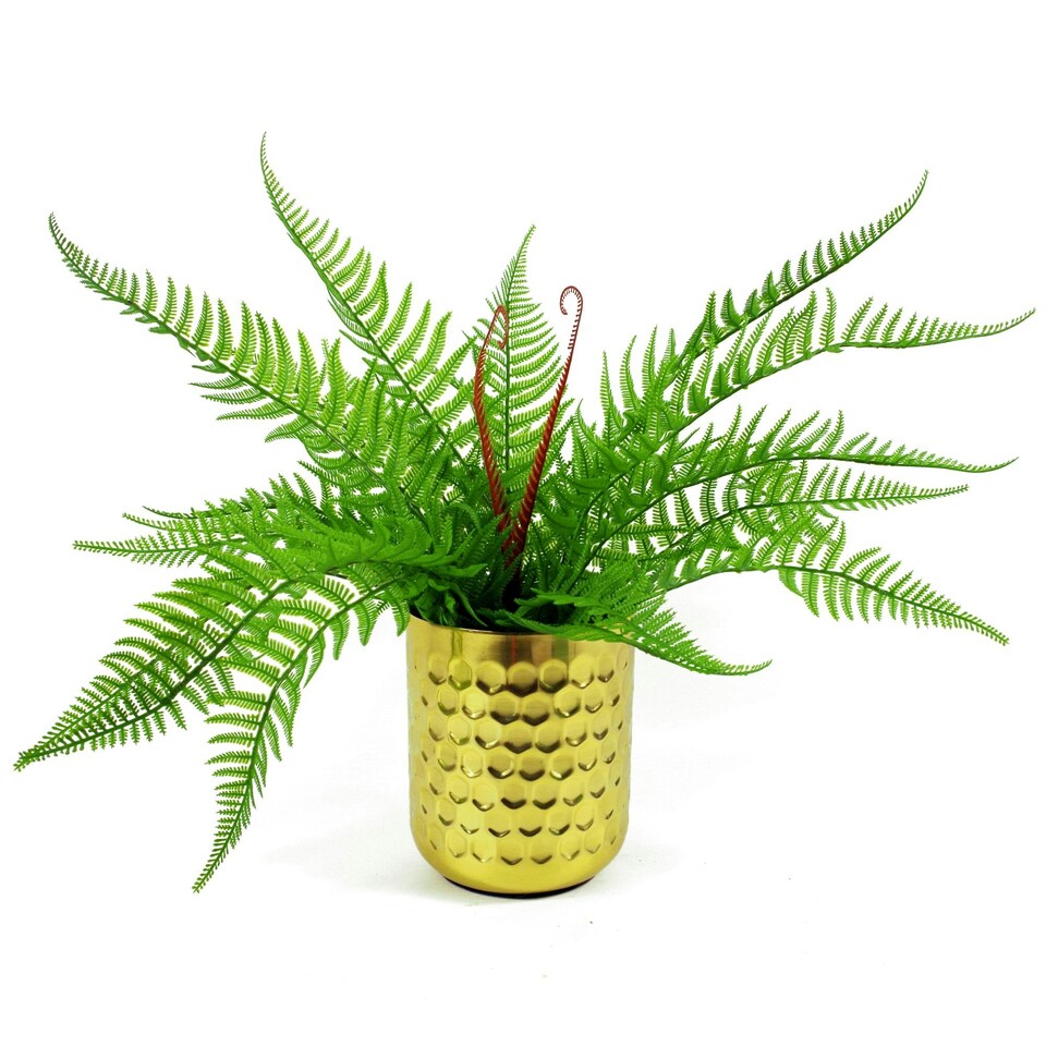60cm-Artificial-Bushy-Dixie-Wood-Fern-Dark-Green-Plant-4 60cm Artificial Bushy Dixie Wood Fern Dark Green Plant