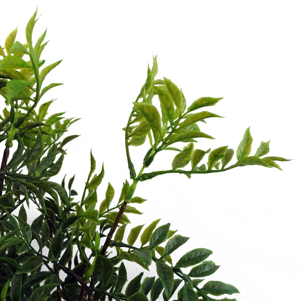 60cm Artificial Nandina Bonsai Ficus Tree | Green | One Size