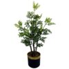 Buy 60cm Artificial Nandina Bonsai Ficus Tree Green One Size