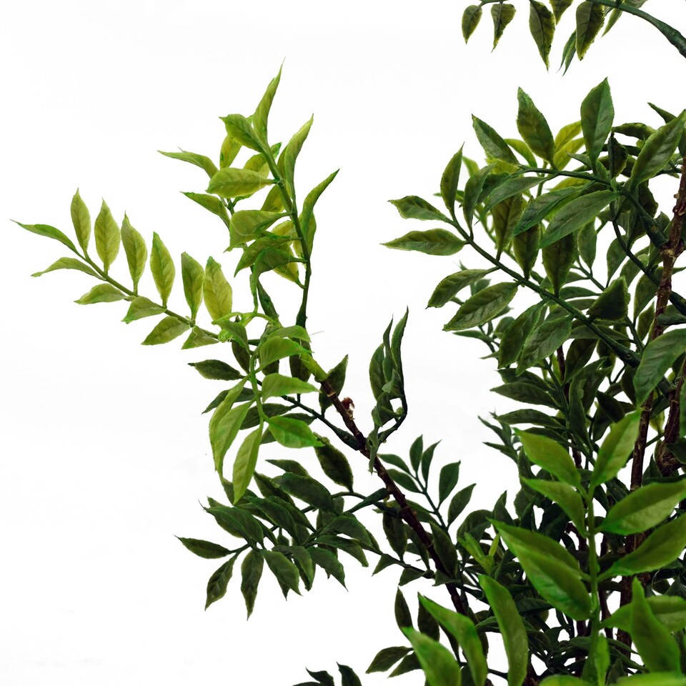 60cm Artificial Nandina Bonsai Ficus Tree | Green | One Size