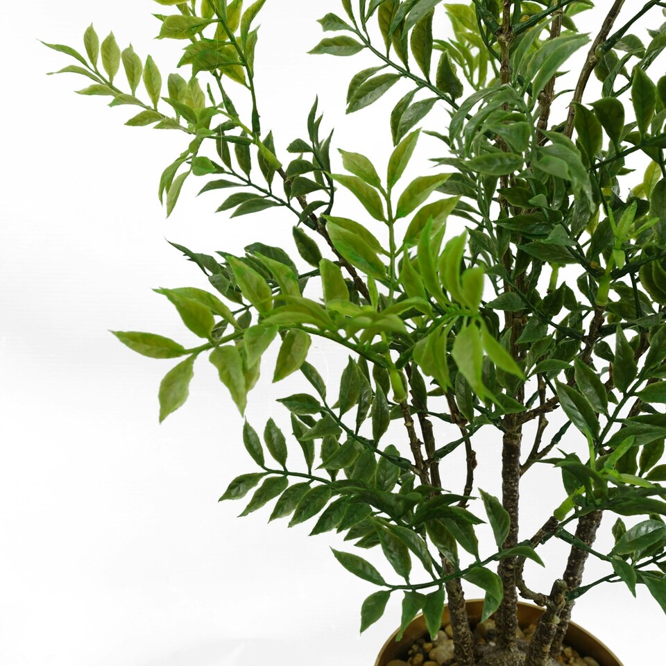 60cm Artificial Nandina Bonsai Ficus Tree | Green | One Size