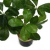 60cm-Artificial-Tropical-Bonsai-Ficus-Tree-Green-One-Size-1 60cm Artificial Tropical Bonsai Ficus Tree | Green | One Size