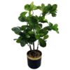 60cm-Artificial-Tropical-Bonsai-Ficus-Tree-Green-One-Size Buy Artificial Tropical Bonsai Ficus Tree One 60cm Green