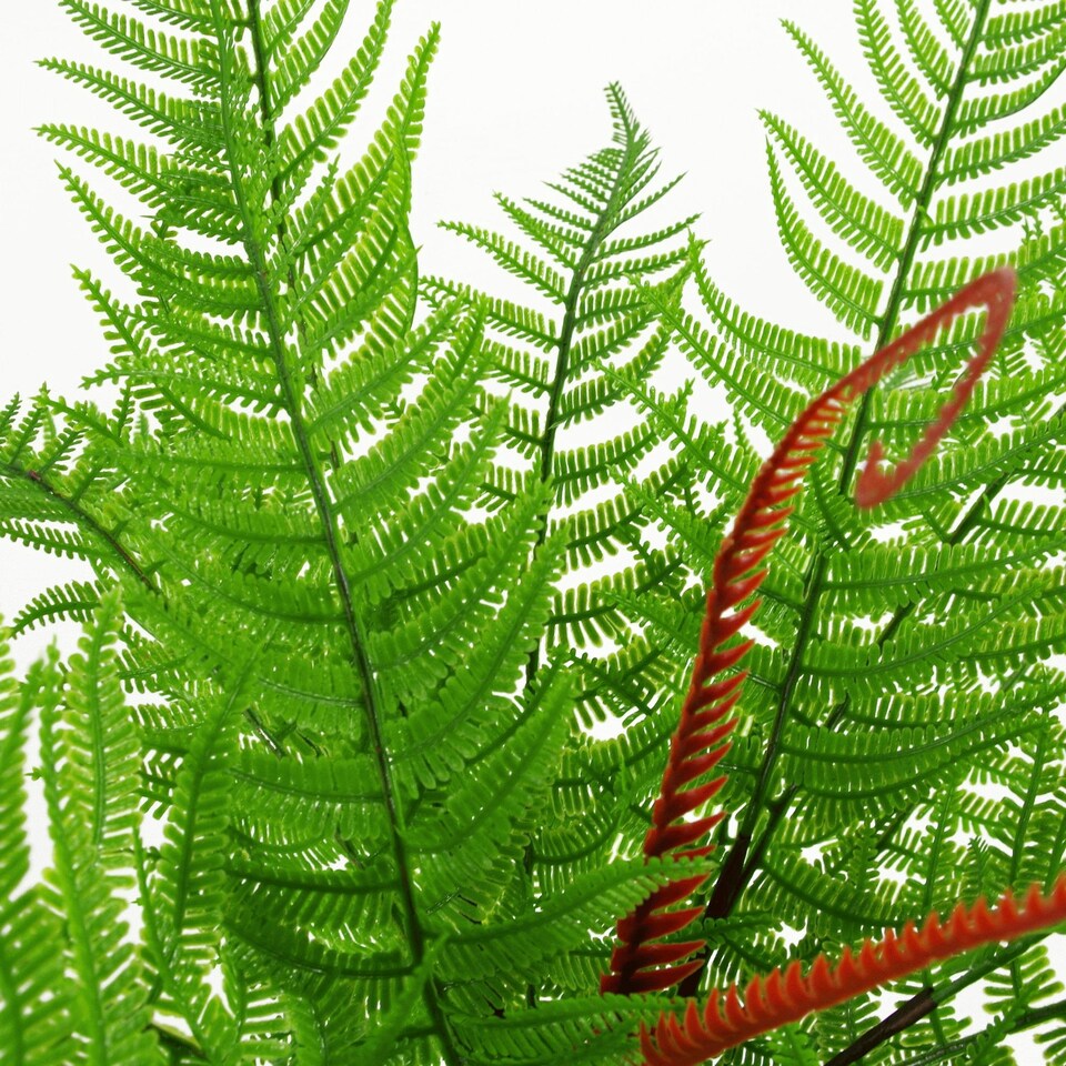 60cm-Artificial-Wood-Fern-Dark-Green-Plant-3 60cm Artificial Wood Fern Dark Green Plant