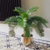 Buy 60cm Cycas Palm Plant Artificial Tropical Tree