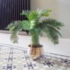 60cm Cycas Palm Plant Artificial Tropical Tree