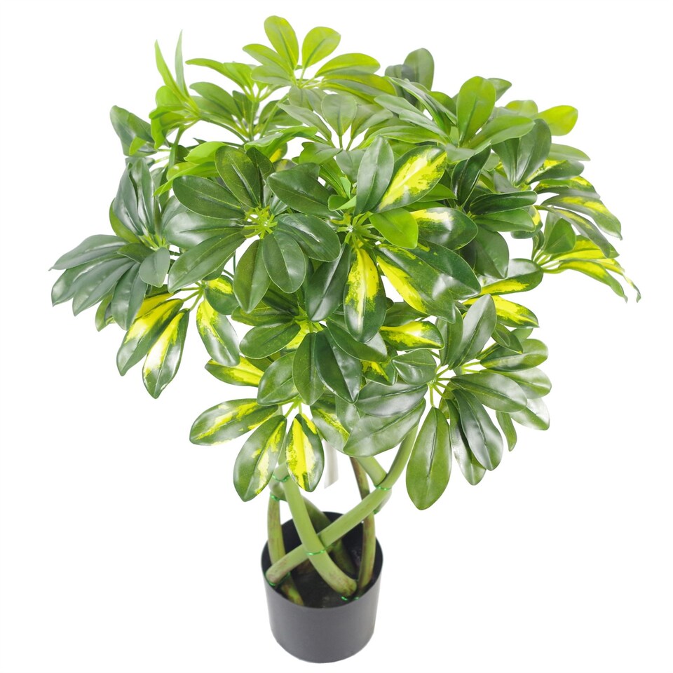70cm-Artificial-Twisted-Stem-Modern-Arboricola-Artificial-Plant-Bonsai-Bush-Botanik-1 70cm Artificial Twisted Stem Modern Arboricola Artificial Plant Bonsai Bush Botanik