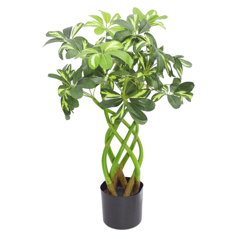 70cm-Artificial-Twisted-Stem-Modern-Arboricola-Artificial-Plant-Bonsai-Bush-Botanik Buy Artificial Twisted Stem Modern Arboricola 70cm