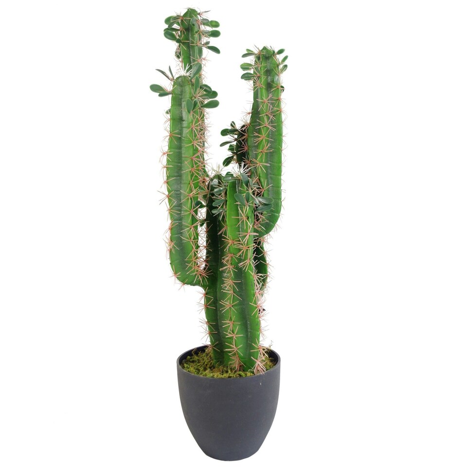 75cm-Premium-Artificial-Cactus-with-pot Buy 75cm Artificial Cactus with pot | Ever Grow Green