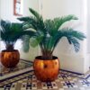 Buy 80cm Cycas Palm Plant Artificial Tropical Tree Green 2ft