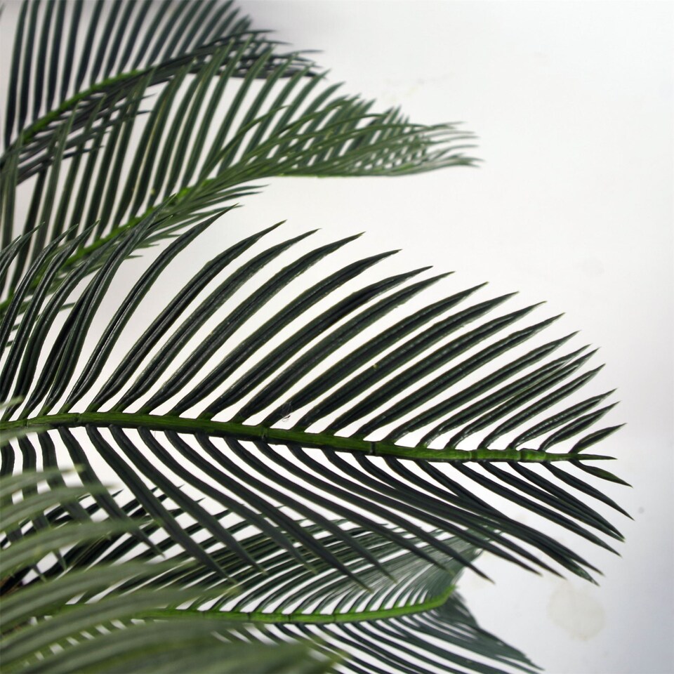 80cm  Cycas Palm Plant Artificial Tropical Tree | Green | 2ft