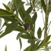 Apulia-Olive-Tree-Pot-Plastic-Height-200-cm-1 Apulia Olive Tree Pot - Plastic - Height 200 cm