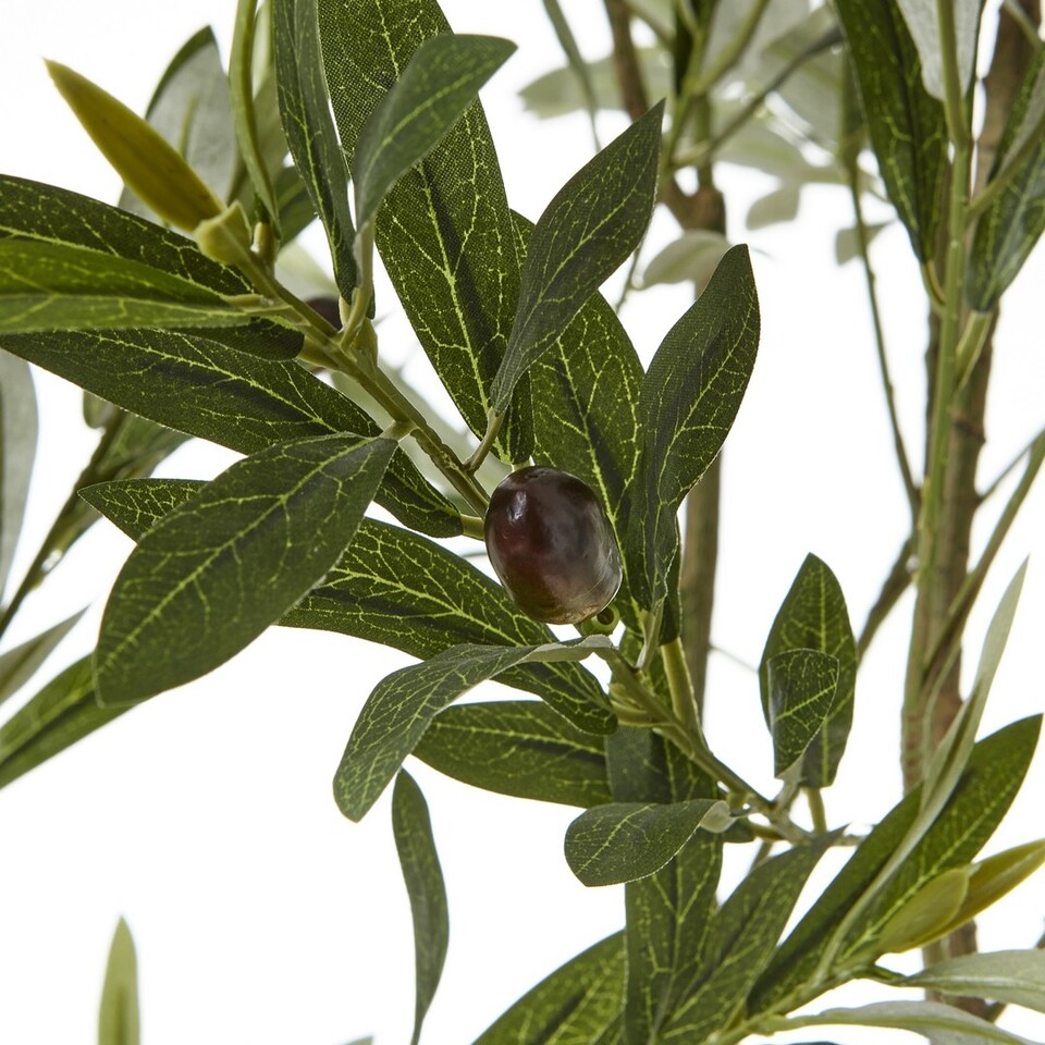 Apulia-Olive-Tree-Pot-Plastic-Height-200-cm-1 Apulia Olive Tree Pot - Plastic - Height 200 cm