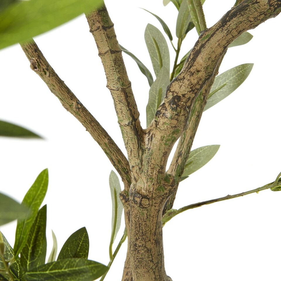 Apulia-Olive-Tree-Pot-Plastic-Height-200-cm-2 Apulia Olive Tree Pot - Plastic - Height 200 cm