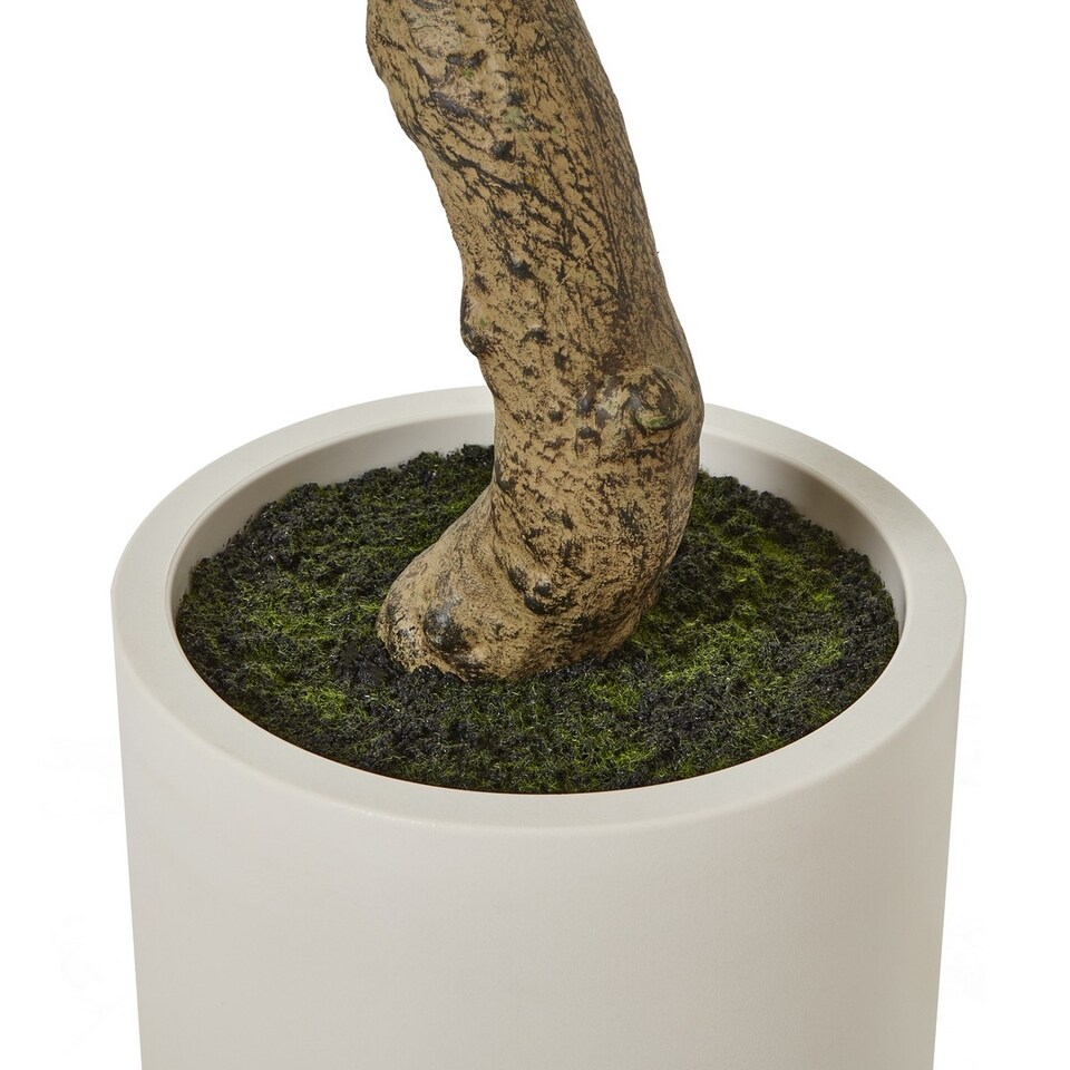 Apulia-Olive-Tree-Pot-Plastic-Height-200-cm-3 Apulia Olive Tree Pot - Plastic - Height 200 cm