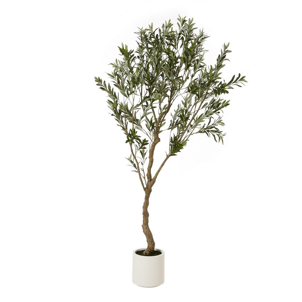 Apulia-Olive-Tree-Pot-Plastic-Height-200-cm Buy Artificial Apulia Olive Tree Pot - Plastic 200cm