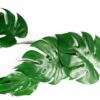 Artificial 100cm Trailing Hanging Monstera Plant Realistic