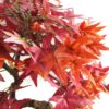 Artificial Bonsai Tree 50cm Red Acer Desktop Plants | Red | One Size