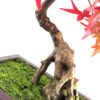 Artificial Bonsai Tree 50cm Red Acer Desktop Plants | Red | One Size