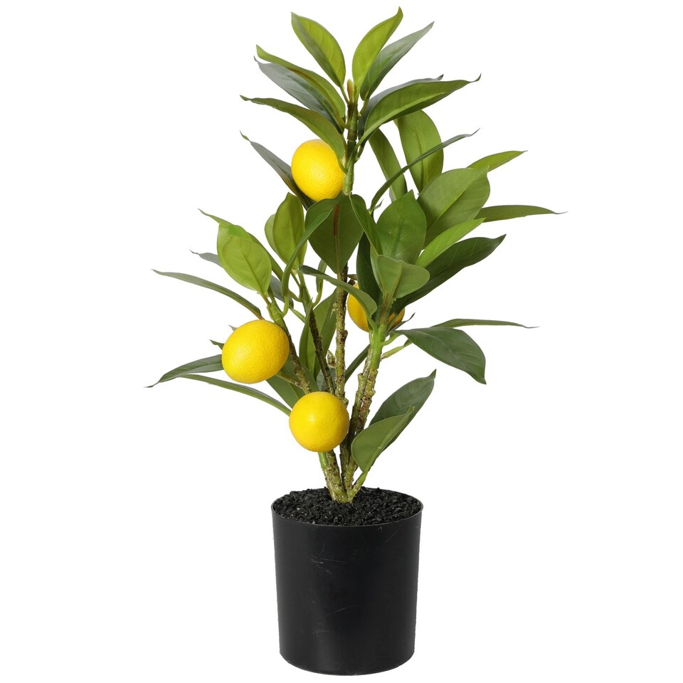 Artificial Citrus Lemon Citron Fruit Tree In 9cm Pot Indoor Home Office Decor