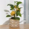 Artificial-Citrus-Lemon-Fruit-Tree-Flower-Pot-Cream-Beige-gloss-1-2 Artificial Citrus Lemon Fruit Tree Flower Pot | Cream | Beige gloss | 1