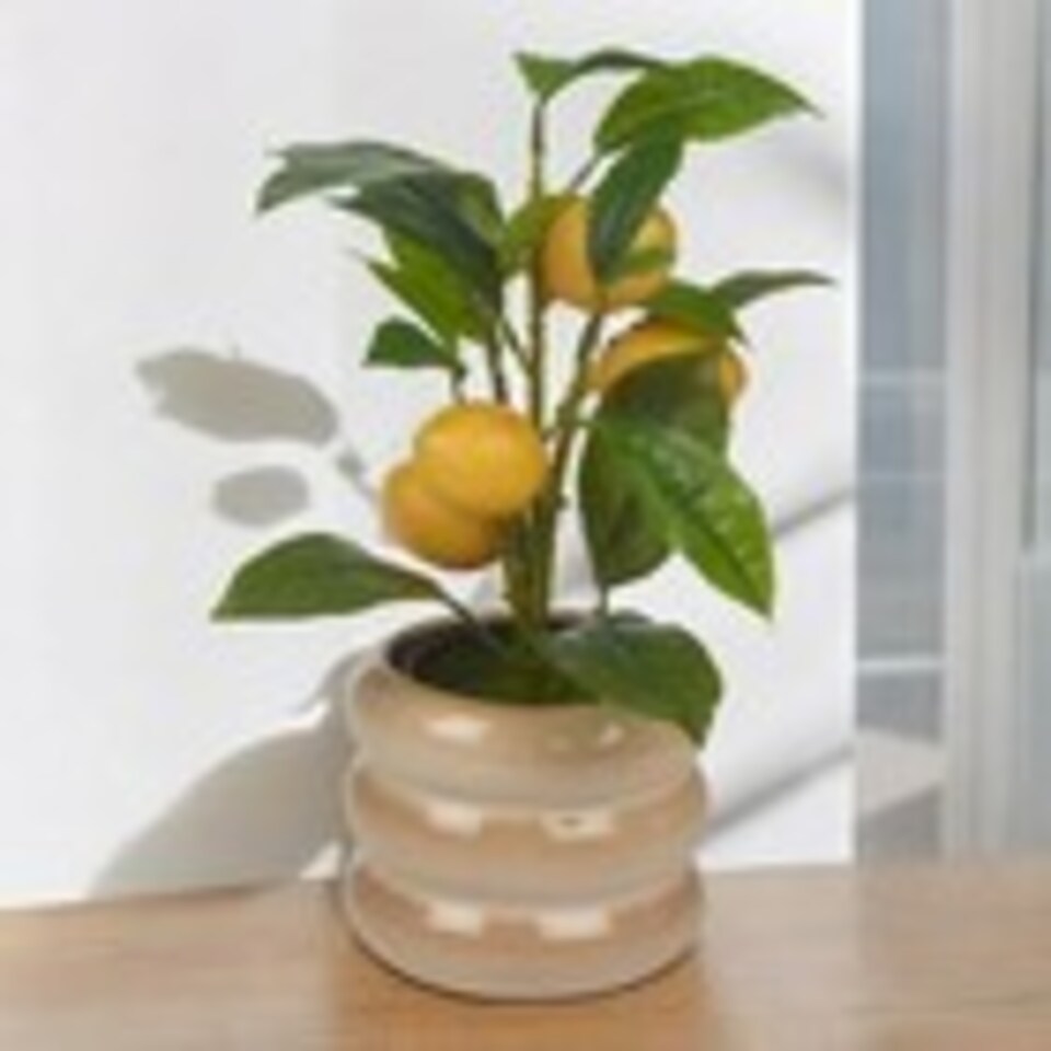 Artificial-Citrus-Lemon-Fruit-Tree-Flower-Pot-Cream-Beige-gloss-1-2 Artificial Citrus Lemon Fruit Tree Flower Pot | Cream | Beige gloss | 1