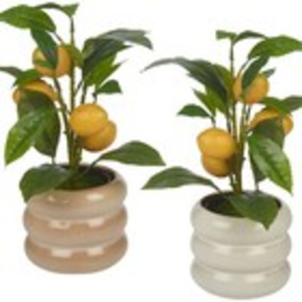 Artificial-Citrus-Lemon-Fruit-Tree-Flower-Pot-Cream-Beige-gloss-1-3 Artificial Citrus Lemon Fruit Tree Flower Pot | Cream | Beige gloss | 1