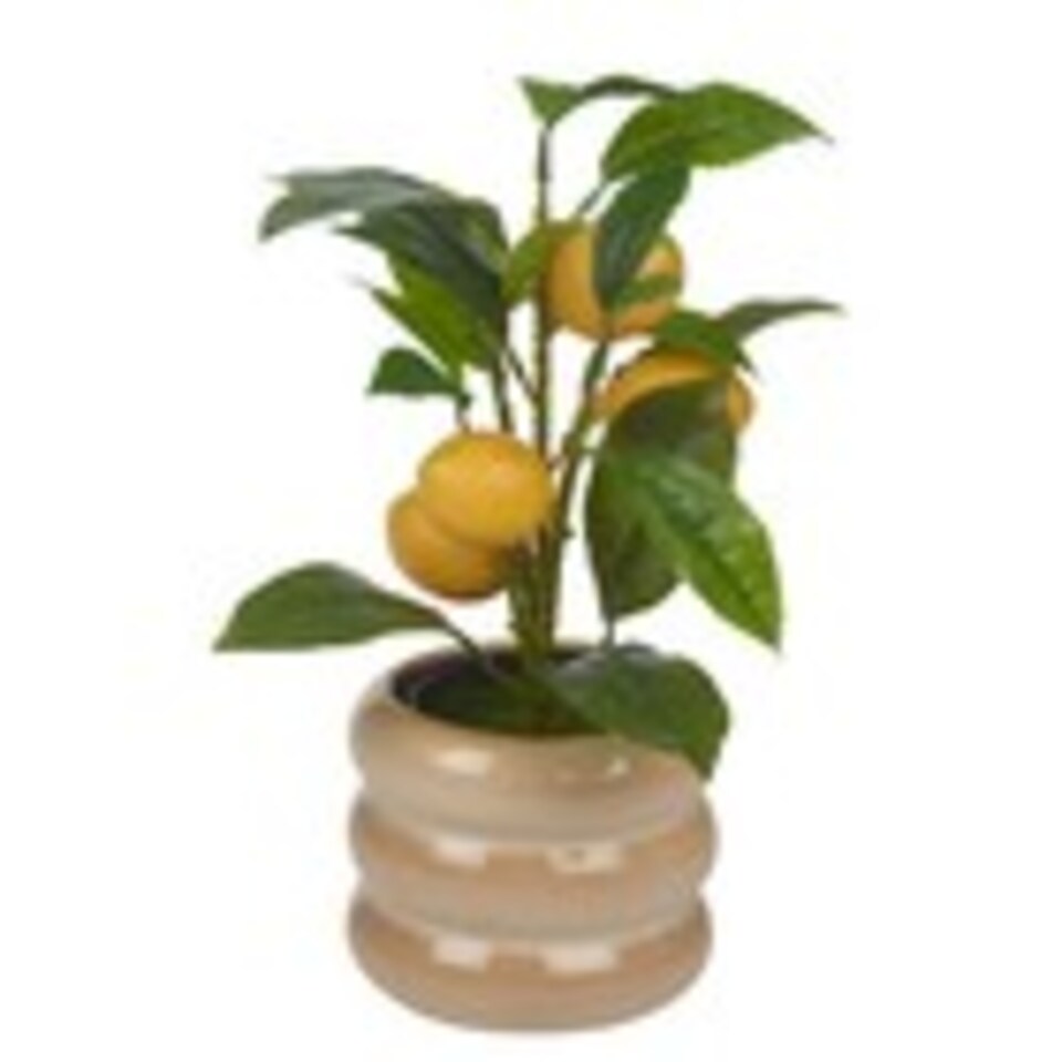 Artificial Citrus Lemon Fruit Tree Flower Pot | Cream | Beige gloss | 1
